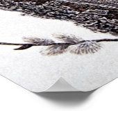 ベルテッドキングフィッシャー(女性) ポスター (角)