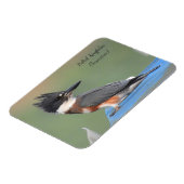 ベルテッドキングフィッシャー（未熟） マグネット (左側)