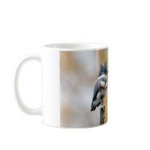 ベルテッド・キングフィッシャー