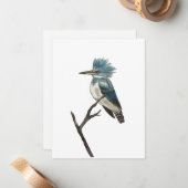 ベルテッド・キングフィッシャー・ノート ノートカード (正面/裏面インサイチュ)