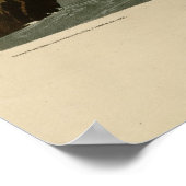 ベルテッド・キングフィッシャー ポスター (角)