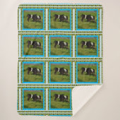 ベルテド・ガロウェイの二頭の子牛 シェルパブランケット (正面)