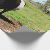 ベルテド・ガロウェイ・カウズ ラッピングペーパー (角)