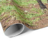 ベルテド・ガロウェイ・カウズ ラッピングペーパー (ロールコーナー)