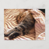 ベルトの夢を見ること ポストカード (正面)