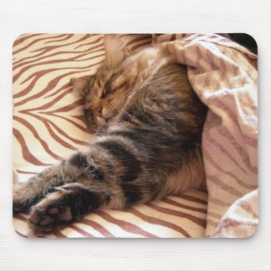 ベルトの夢を見ること マウスパッド (正面)