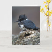 ベルトを付けられたカワセミ カード (黄色い花)