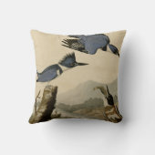 ベルトを付けられたカワセミ クッション (裏面)