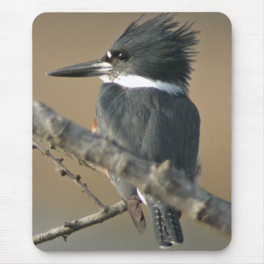 ベルトを付けられたカワセミ マウスパッド (正面)