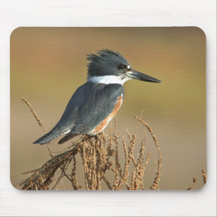 ベルトを付けられたカワセミ マウスパッド