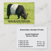 ベルトを付けられたギャロウェーの牛農場または牧場供給 名刺 (正面/裏面)