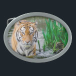 ベルトバックル売り物に！ 卵形バックル<br><div class="desc">誰もがこのトラ❤ー😎ー🐯ベルトのバックルを愛する。</div>