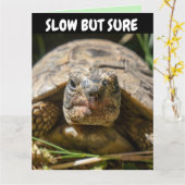 ベルト付き誕生日おもしろい亀グリーティングカード カード (黄色い花)