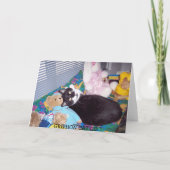 ベルト付き誕生日カード カード (裏面)