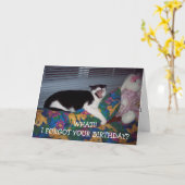 ベルト付き誕生日カード カード (黄色い花)