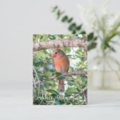 ベルナデットクリスマス シーズンカード (スタンド正面)