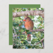 ベルナデットクリスマス シーズンカード (正面/裏面)