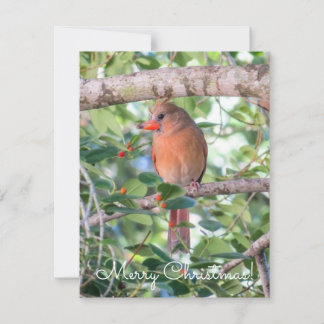 ベルナデットクリスマス シーズンカード