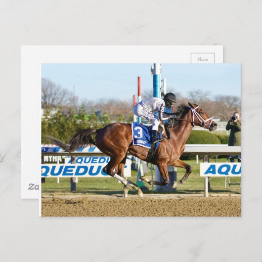 ベルナルディーニによるベレラがコミリー・ステークスで勝利 ポストカード (正面/裏面)