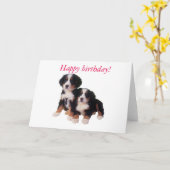 ベルナーセンネンpupsバースデーカード カード (黄色い花)