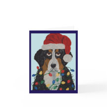 ベルナーゼンネンハウンドがクリスマスイルミネーションに絡まっちゃった!