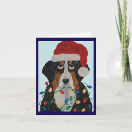 ベルナーゼンネンハウンドがクリスマスイルミネーションに絡まっちゃった! 招待状