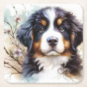 ベルナーゼン・マウンテン・ドッグ AI子犬 スクエアペーパーコースター (正面)