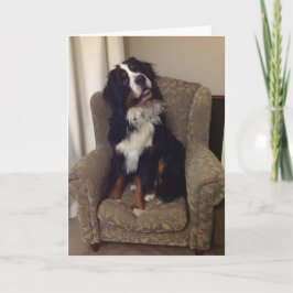 ベルナー国民挨拶カード シーズンカード