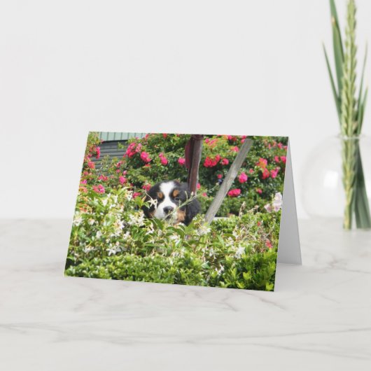 ベルナー国民挨拶カード シーズンカード (正面)