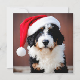 ベルヌードルクリスマス
