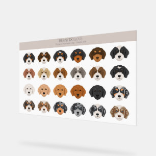 ベルネドードルアクリル徴候 アクリルサイン