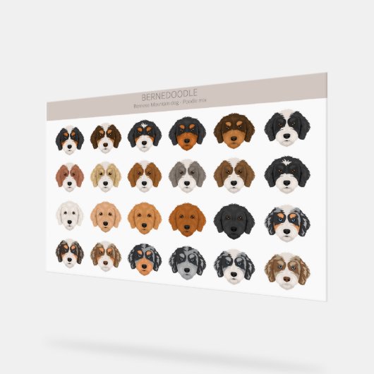 ベルネドードルアクリル徴候 アクリルサイン (傾斜)