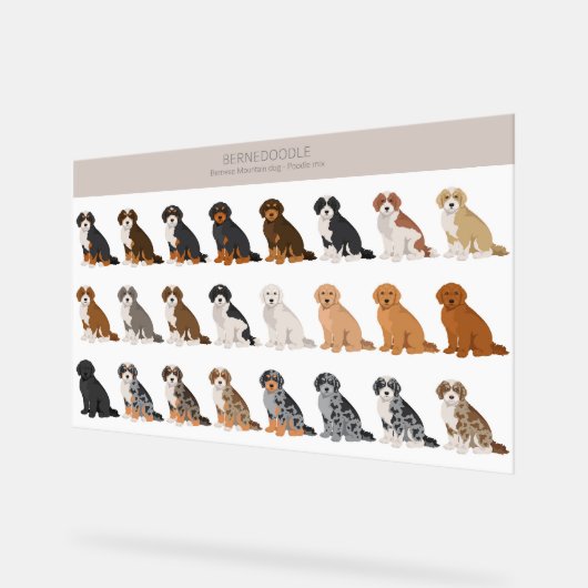 ベルネドードルアクリル徴候 アクリルサイン (傾斜)