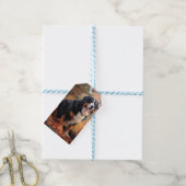 ベルネーズマウンテンイン紅葉秋インスパイア ギフトタグ (より糸付き)