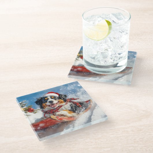 ベルネーズマウンテンドッグのスレッジクリスマス ガラスコースター (アングル)