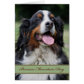 ベルネーズマウンテンドッグアニ大事な行事空白のイン (正面)