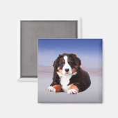 ベルネーズマウンテンドッグオンビーチ マグネット (正面/裏面)