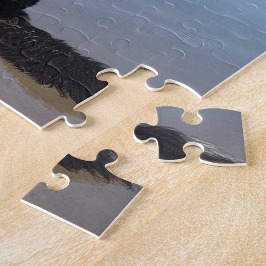 ベルネーズマウンテンドッグキャノンビーチ ジグソーパズル (側面)