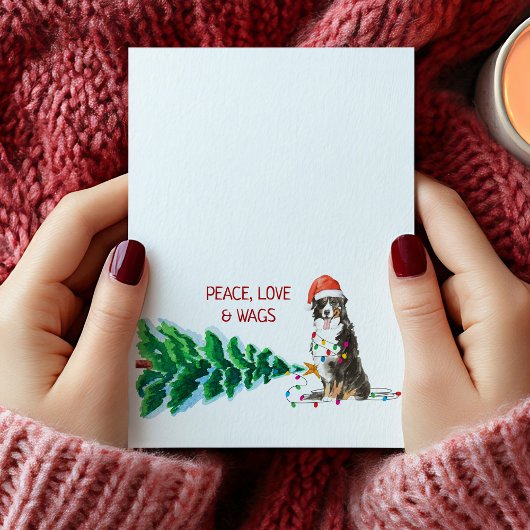 ベルネーズマウンテンドッグクリスマスカードツリー&ライト シーズンカード