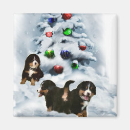 ベルネーズマウンテンドッグクリスマスギフト マグネット