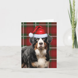 ベルネーズマウンテンドッグクリスマスホリデープレイド シーズンカード