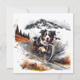 ベルネーズマウンテンドッグサイクリングインザマウンテンズ