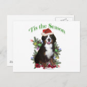 ベルネーズマウンテンドッグチス シーズンポストカード (正面/裏面)