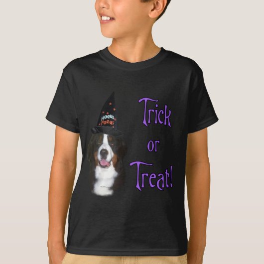 ベルネーズマウンテンドッグトリック Tシャツ (正面)