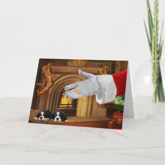 ベルネーズマウンテンドッグパップスクリスマスホリデーカード シーズンカード (正面)