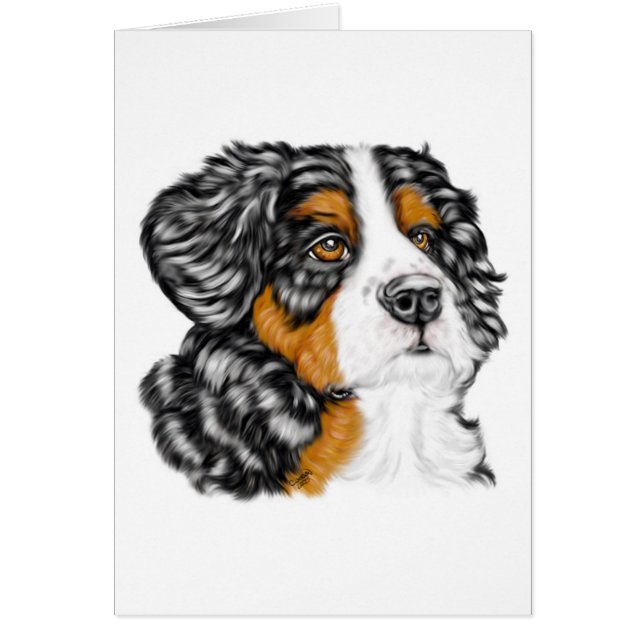 ベルネーズマウンテンドッグパップ (正面)