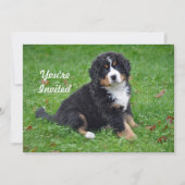 ベルネーズマウンテンドッグパピーフォト誕生日 招待状 (正面)