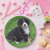 ベルネーズマウンテンドッグパピー写真 ペーパープレート (パーティー)