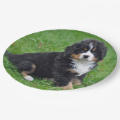 ベルネーズマウンテンドッグパピー写真 ペーパープレート (アングル)