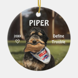 ベルネーズマウンテンドッグフォトオーナメント セラミックオーナメント